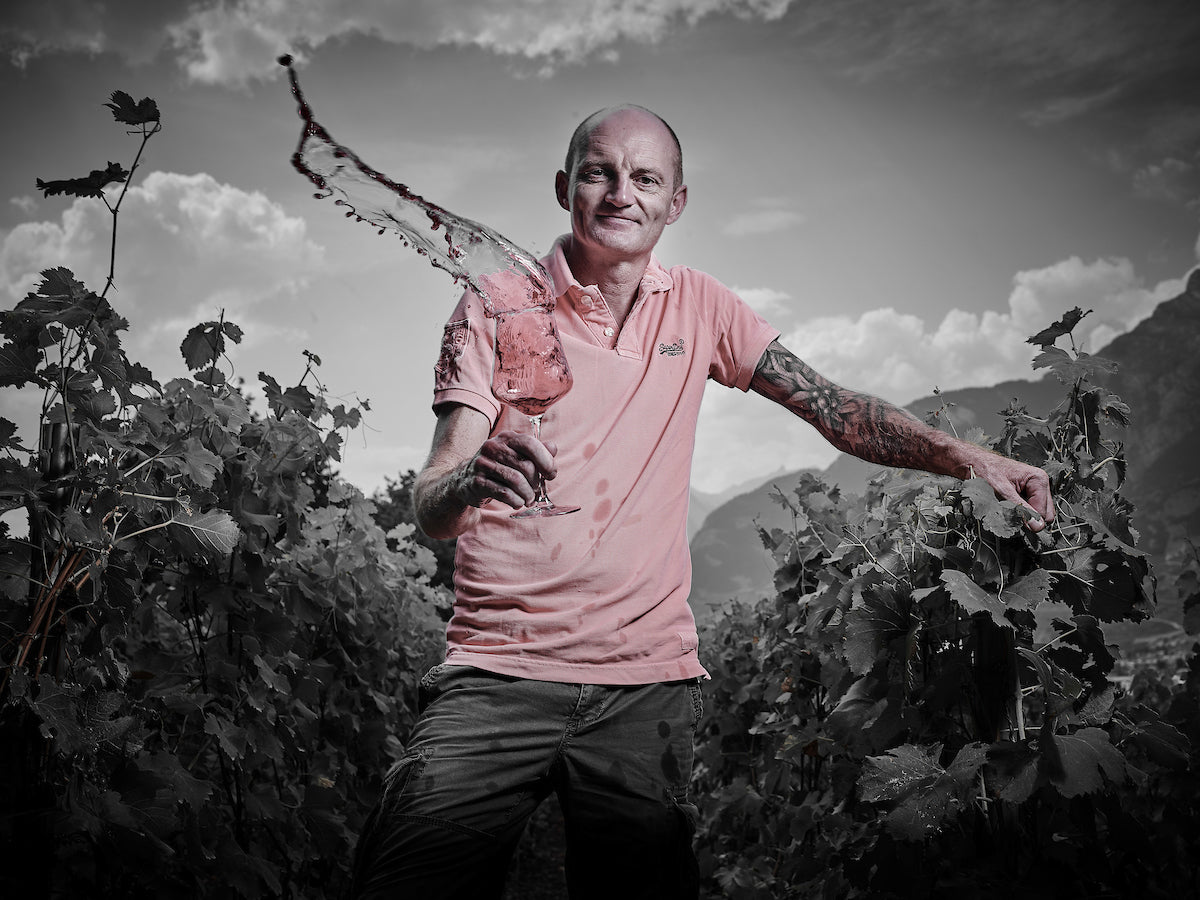 Thierry constantin éclat de vin dans les vignes