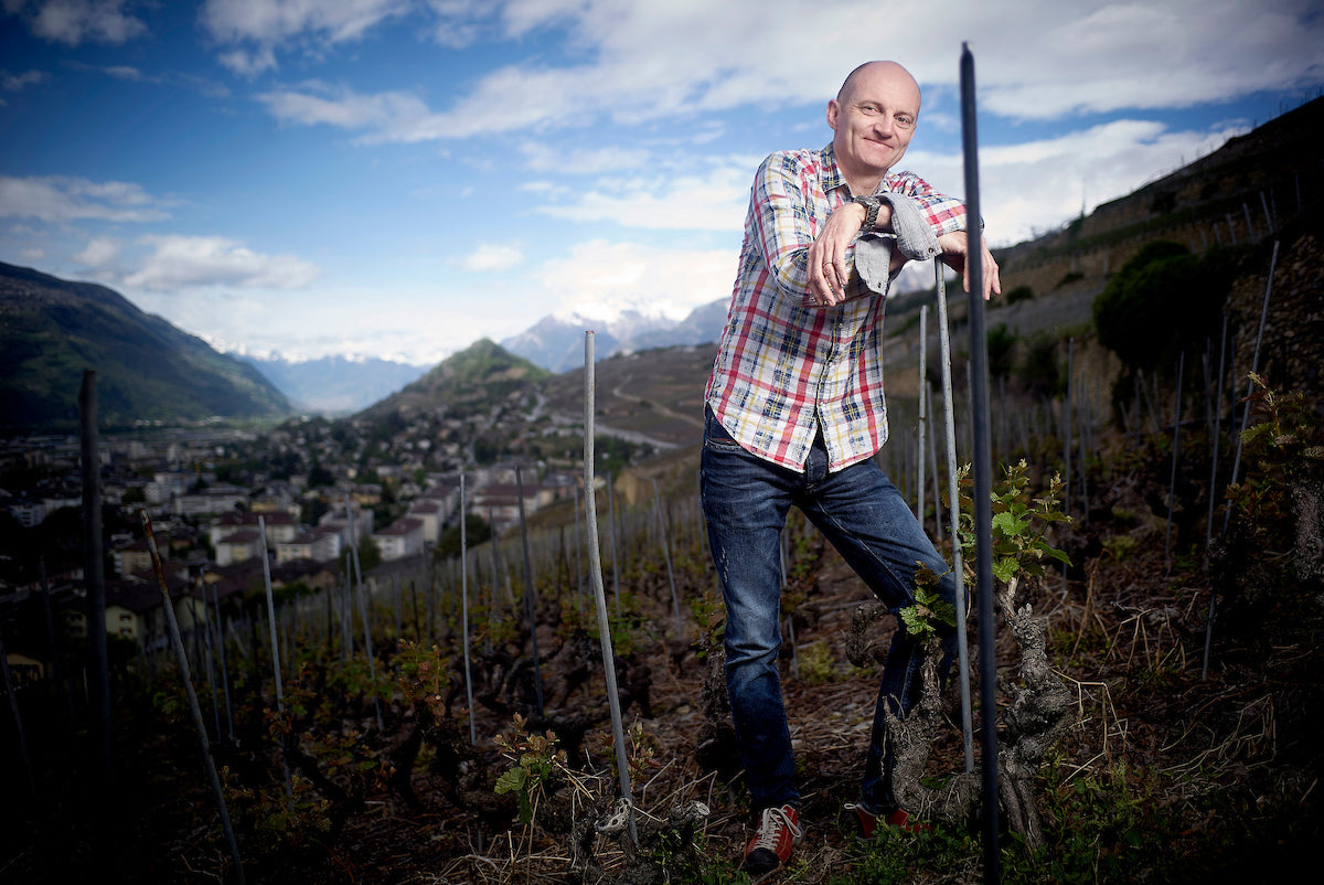 Le vignoble du Valais avec Thierry constantin